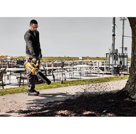 Повітродувка акумуляторна XR FLEXVOLT Li-lon 54В 258км.г DeWALT DCMBL777N з доставкою